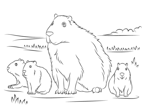 Capybara With Cute Babies Coloring Page